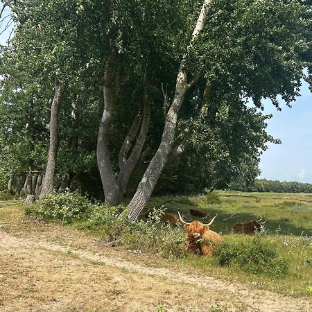 Zomerhuis Duinzicht Egmond aan den Hoef Exterior foto