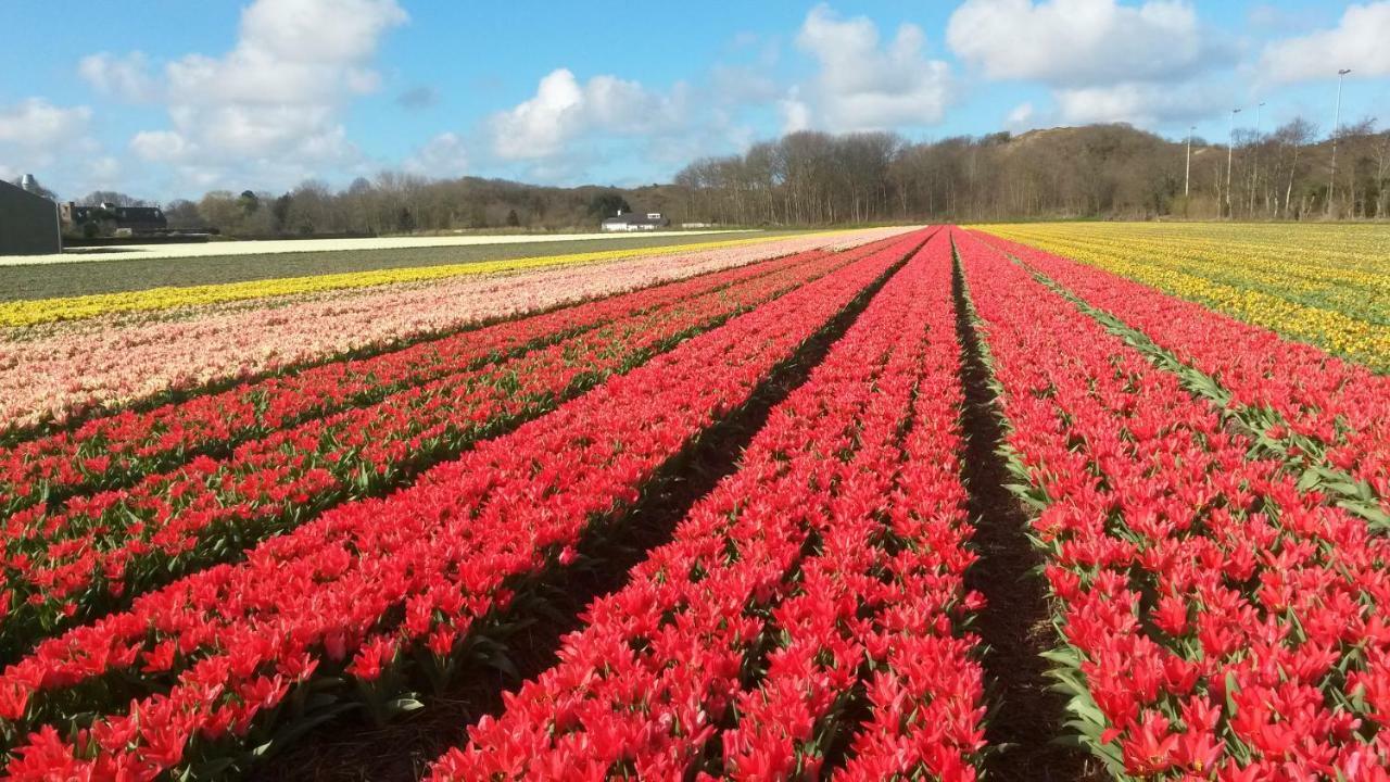 Zomerhuis Duinzicht Egmond aan den Hoef Exterior foto