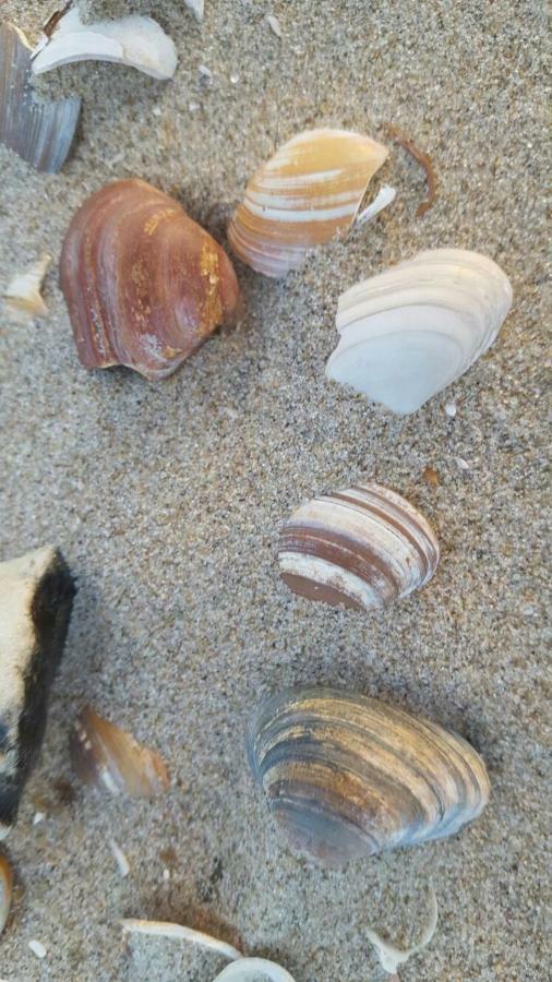 Zomerhuis Duinzicht Egmond aan den Hoef Exterior foto